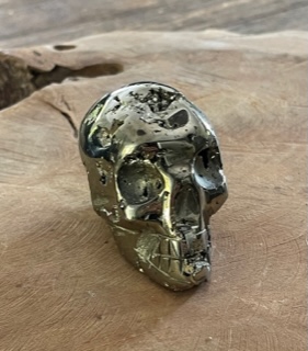 Pyriet schedel / Skull