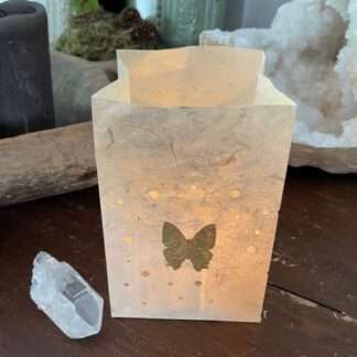 Gift of light vlinder