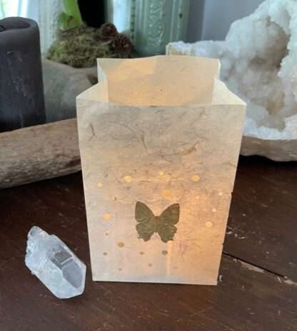 Gift of light vlinder