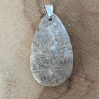 Fossiel koraal hanger met zilveren oog 925 gehalte