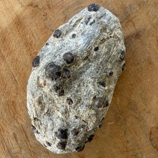 Granaat in moedergesteente