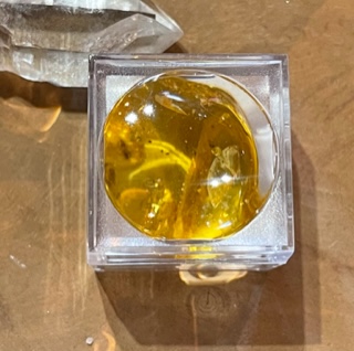 Amber vergrootglas met bewaard gebleven insecten