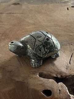Pyriet schildpad