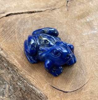 Lapis lazuli kikker