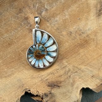 Ammoniet ingelegd met blue ice